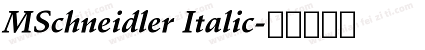 MSchneidler Italic字体转换